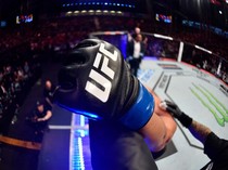 1769317480756-logo-ufc_43